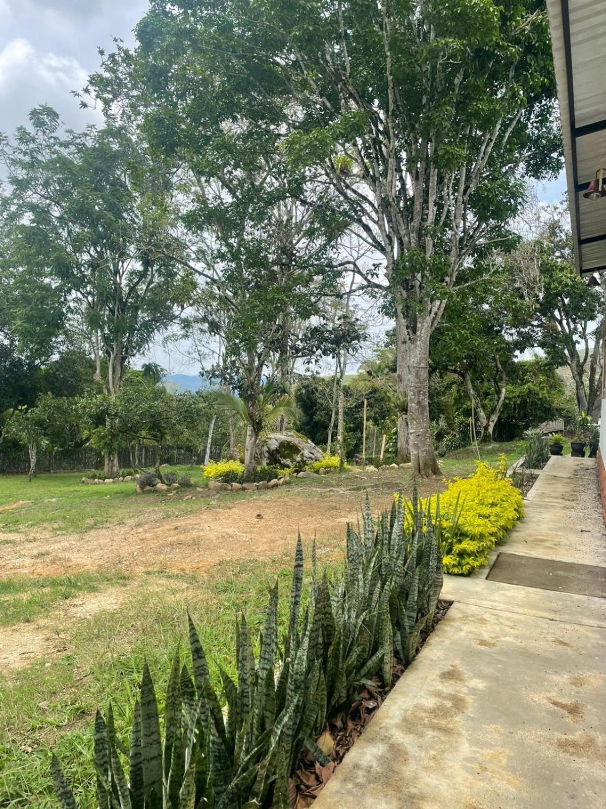 Lodge Milu *