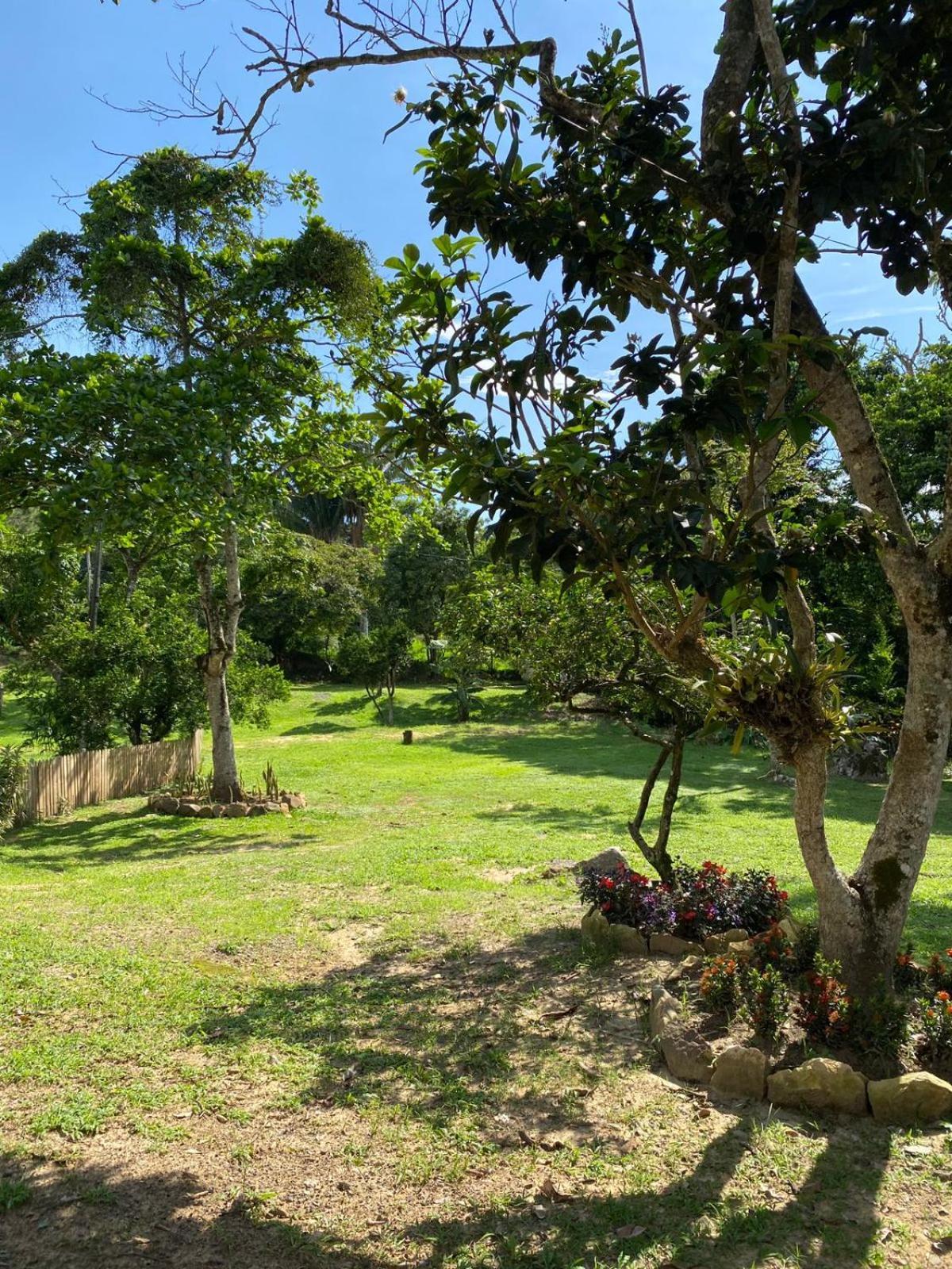Milu * Guaduas