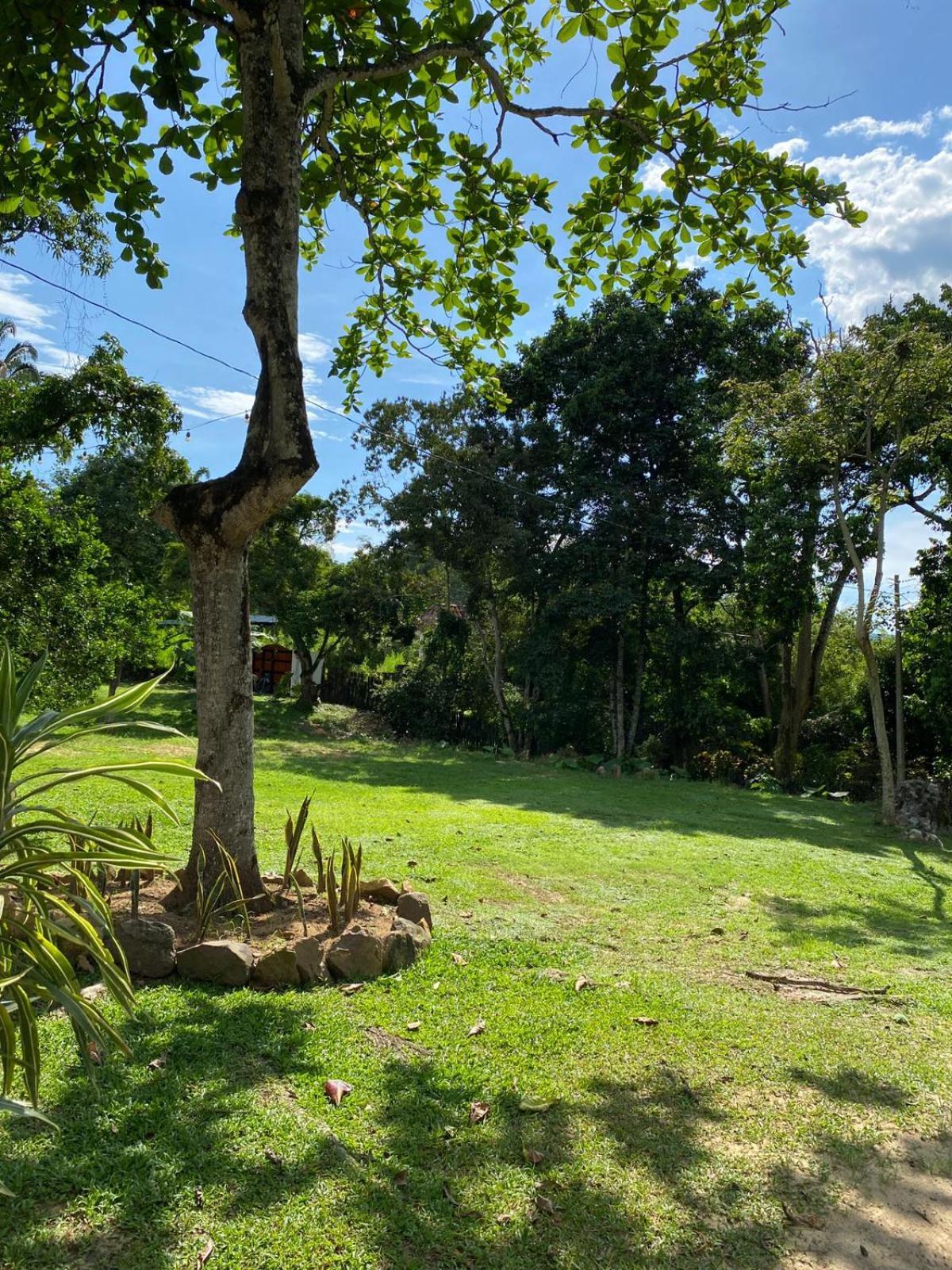 Milu Lodge