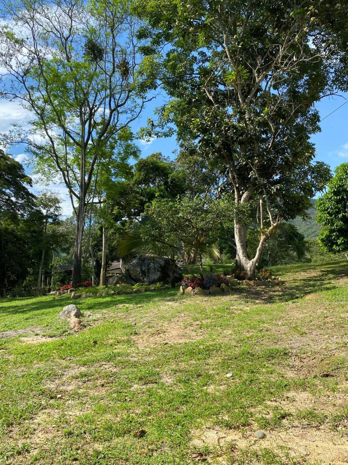 Lodge Milu