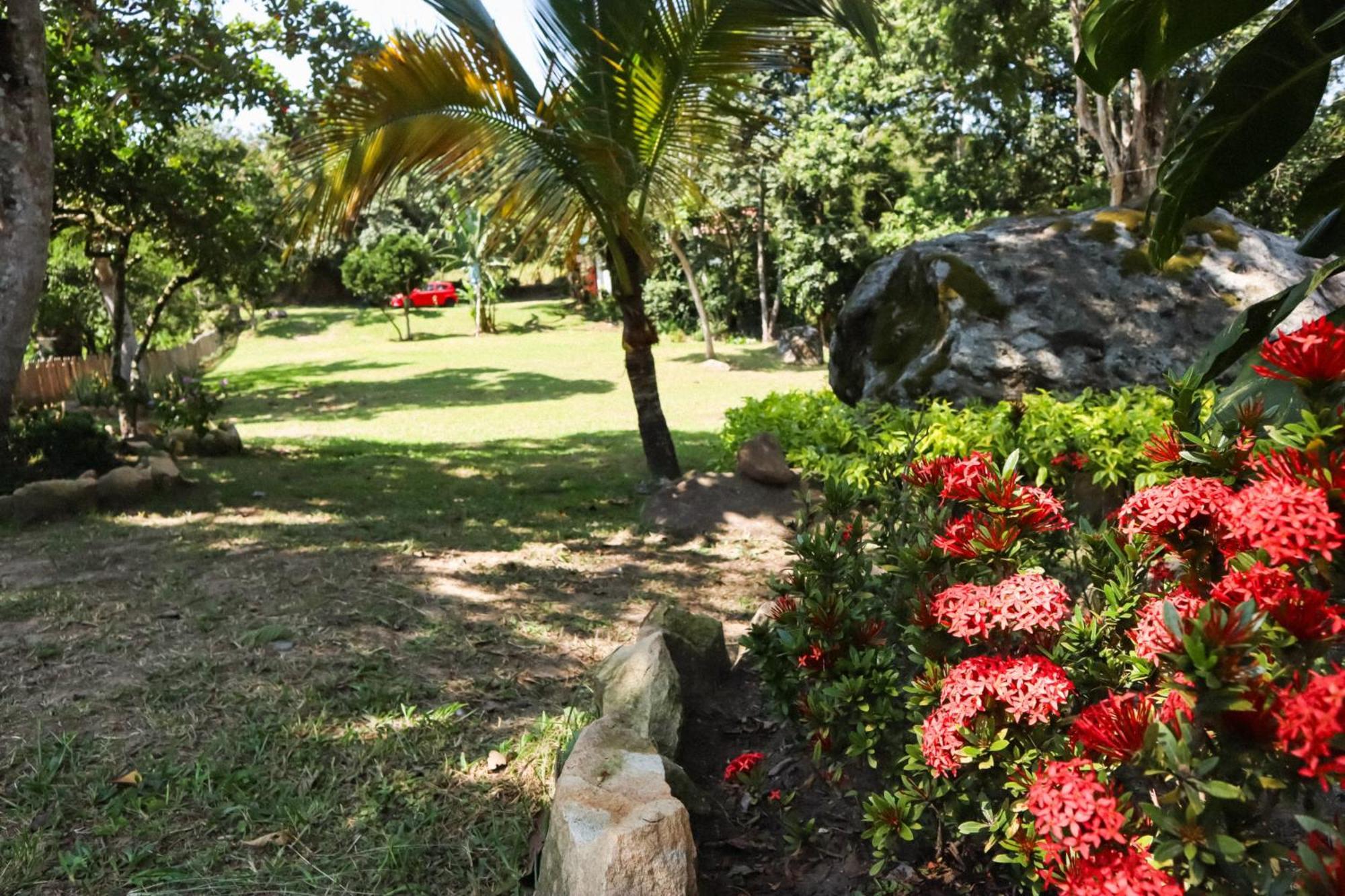 Lodge Milu